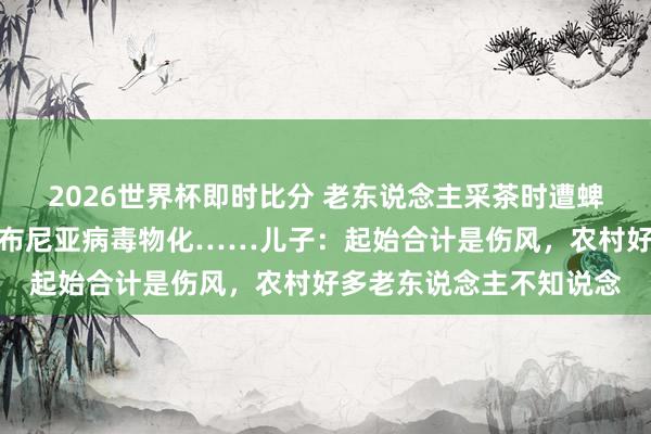 2026世界杯即时比分 老东说念主采茶时遭蜱虫叮咬，确诊感染新式布尼亚病毒物化……儿子：起始合计是伤风，农村好多老东说念主不知说念