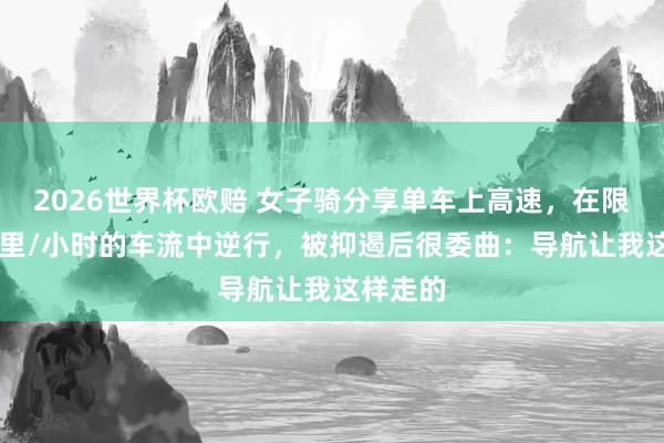 2026世界杯欧赔 女子骑分享单车上高速，在限速80公里/小时的车流中逆行，被抑遏后很委曲：导航让我这样走的