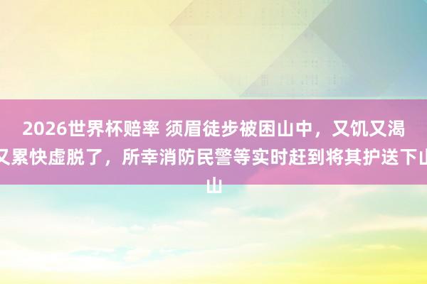 2026世界杯赔率 须眉徒步被困山中，又饥又渴又累快虚脱了，所幸消防民警等实时赶到将其护送下山