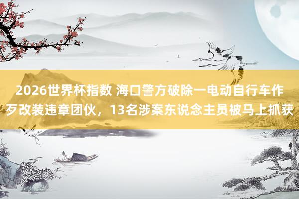 2026世界杯指数 海口警方破除一电动自行车作歹改装违章团伙，13名涉案东说念主员被马上抓获