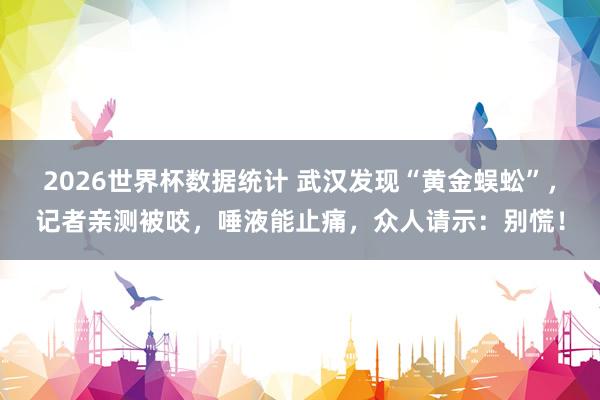 2026世界杯数据统计 武汉发现“黄金蜈蚣”，记者亲测被咬，唾液能止痛，众人请示：别慌！