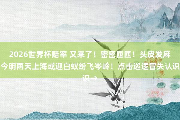 2026世界杯赔率 又来了！密密匝匝！头皮发麻！今明两天上海或迎白蚁纷飞岑岭！点击巡逻冒失认识→