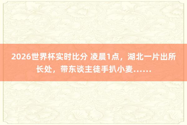 2026世界杯实时比分 凌晨1点，湖北一片出所长处，带东谈主徒手扒小麦……