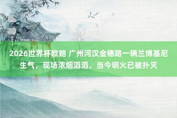 2026世界杯欧赔 广州河汉金穗路一辆兰博基尼生气，现场浓烟滔滔，当今明火已被扑灭
