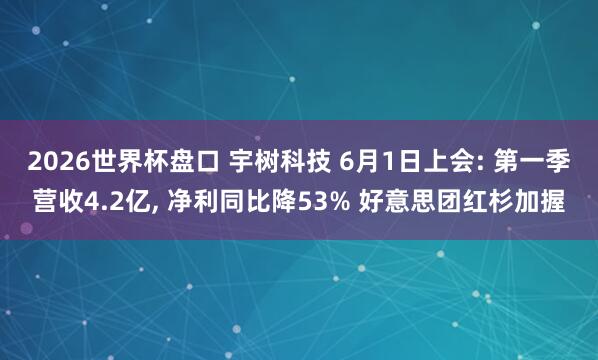 2026世界杯盘口 宇树科技 6月1日上会: 第一季营收4.2亿， 净利同比降53% 好意思团红杉加握