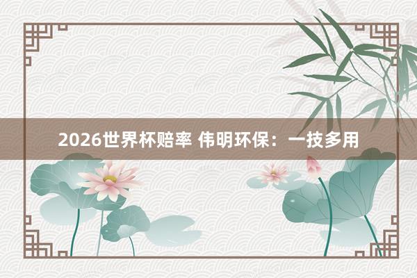 2026世界杯赔率 伟明环保：一技多用