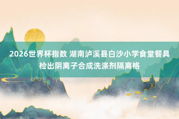 2026世界杯指数 湖南泸溪县白沙小学食堂餐具检出阴离子合成洗涤剂隔离格