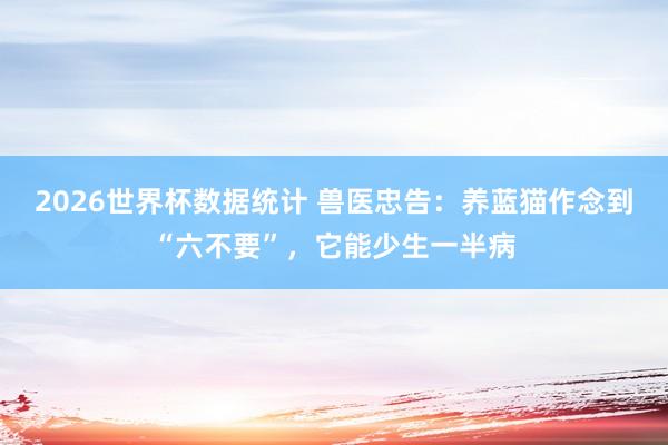 2026世界杯数据统计 兽医忠告：养蓝猫作念到“六不要”，它能少生一半病