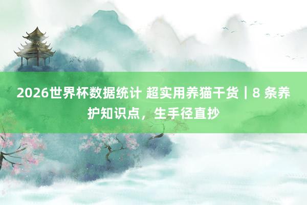 2026世界杯数据统计 超实用养猫干货｜8 条养护知识点，生手径直抄