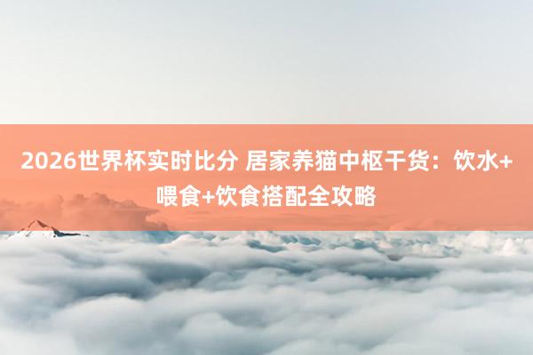 2026世界杯实时比分 居家养猫中枢干货：饮水+喂食+饮食搭配全攻略