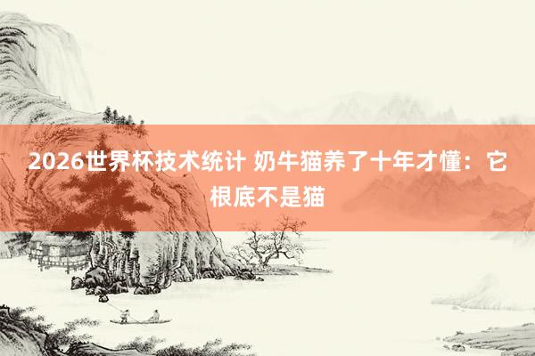 2026世界杯技术统计 奶牛猫养了十年才懂：它根底不是猫