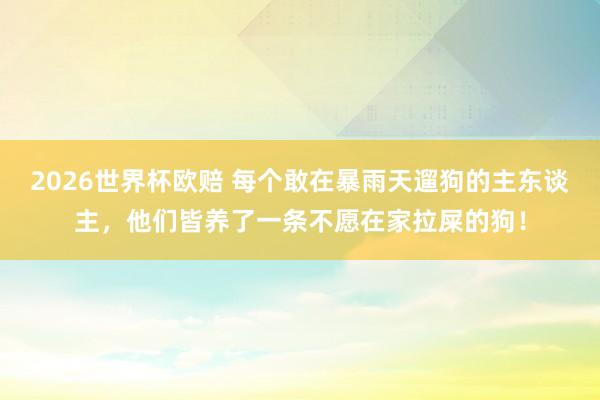 2026世界杯欧赔 每个敢在暴雨天遛狗的主东谈主，他们皆养了一条不愿在家拉屎的狗！