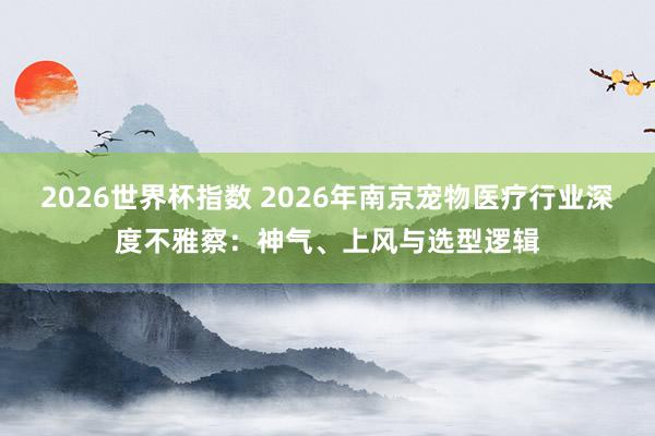 2026世界杯指数 2026年南京宠物医疗行业深度不雅察：神气、上风与选型逻辑