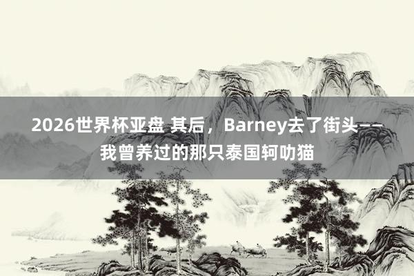 2026世界杯亚盘 其后，Barney去了街头——我曾养过的那只泰国轲叻猫