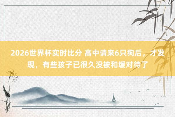 2026世界杯实时比分 高中请来6只狗后，才发现，有些孩子已很久没被和缓对待了