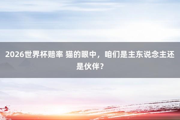 2026世界杯赔率 猫的眼中，咱们是主东说念主还是伙伴？
