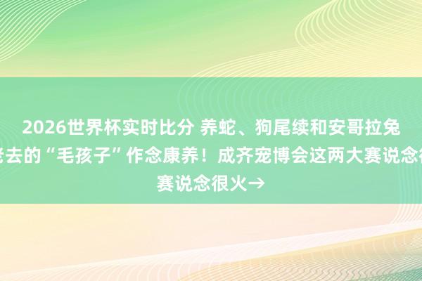 2026世界杯实时比分 养蛇、狗尾续和安哥拉兔，给老去的“毛孩子”作念康养！成齐宠博会这两大赛说念很火→