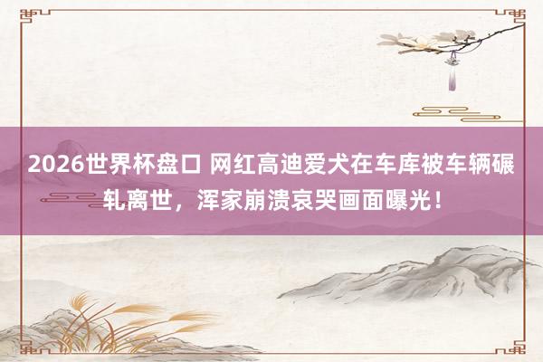 2026世界杯盘口 网红高迪爱犬在车库被车辆碾轧离世，浑家崩溃哀哭画面曝光！