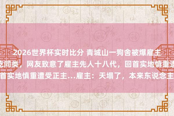 2026世界杯实时比分 青城山一狗舍被爆雇主跑路，毛孩子饿到运转吃同类，网友致意了雇主先人十八代，回首实地慎重遭受正主…雇主：天塌了，本来东说念主手不够就烦…