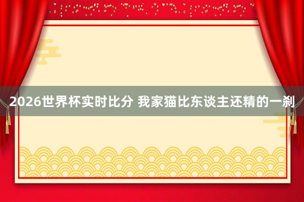 2026世界杯实时比分 我家猫比东谈主还精的一刹