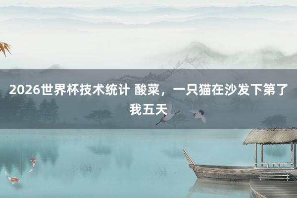 2026世界杯技术统计 酸菜，一只猫在沙发下第了我五天