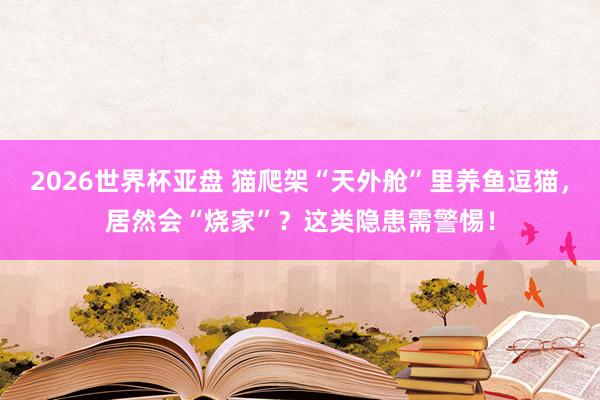 2026世界杯亚盘 猫爬架“天外舱”里养鱼逗猫，居然会“烧家”？这类隐患需警惕！