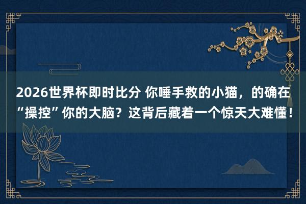 2026世界杯即时比分 你唾手救的小猫，的确在“操控”你的大脑？这背后藏着一个惊天大难懂！
