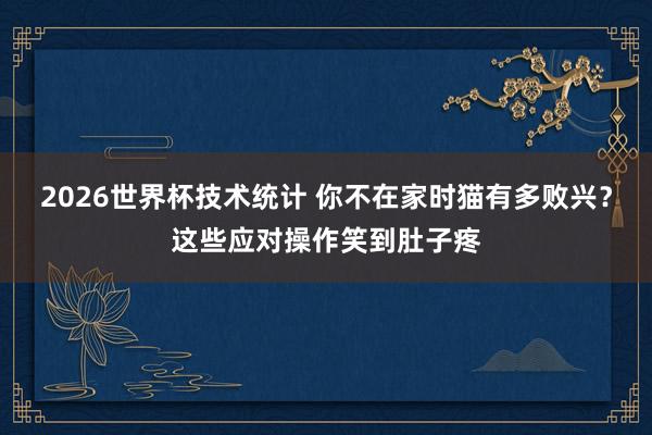 2026世界杯技术统计 你不在家时猫有多败兴？这些应对操作笑到肚子疼