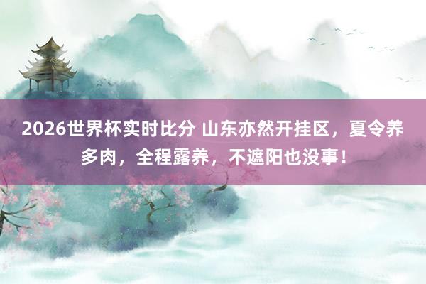 2026世界杯实时比分 山东亦然开挂区，夏令养多肉，全程露养，不遮阳也没事！