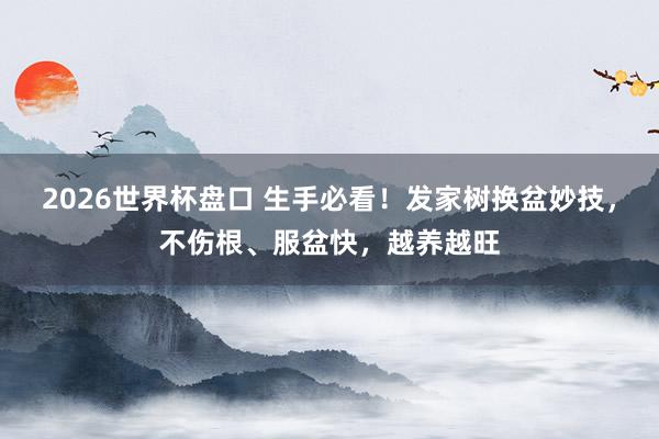 2026世界杯盘口 生手必看！发家树换盆妙技，不伤根、服盆快，越养越旺