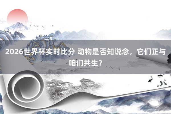2026世界杯实时比分 动物是否知说念，它们正与咱们共生？