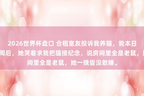 2026世界杯盘口 合租室友投诉我养猫，我本日就把猫送走。一周后，她哭着求我把猫接纪念，说房间里全是老鼠，她一晚皆没敢睡。