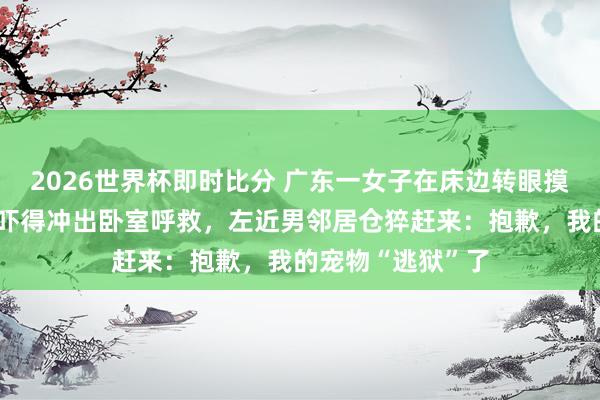 2026世界杯即时比分 广东一女子在床边转眼摸到金黄色长蛇，吓得冲出卧室呼救，左近男邻居仓猝赶来：抱歉，我的宠物“逃狱”了