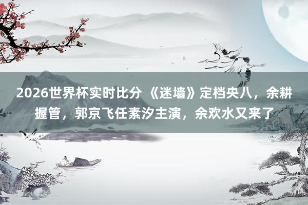 2026世界杯实时比分 《迷墙》定档央八，余耕握管，郭京飞任素汐主演，余欢水又来了