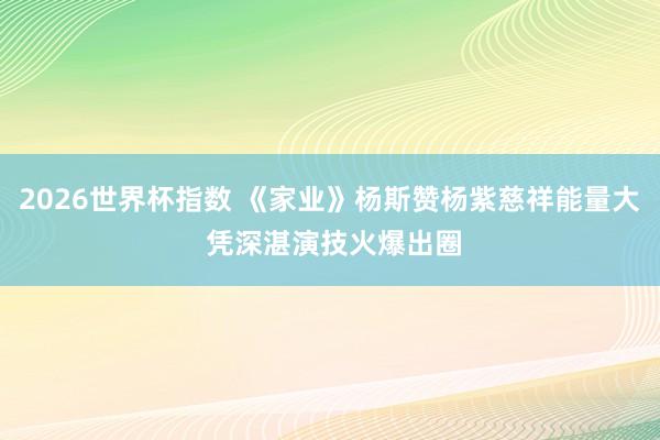 2026世界杯指数 《家业》杨斯赞杨紫慈祥能量大 凭深湛演技火爆出圈
