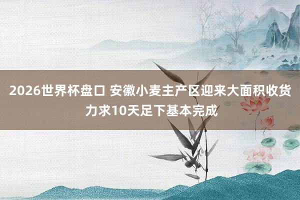 2026世界杯盘口 安徽小麦主产区迎来大面积收货 力求10天足下基本完成