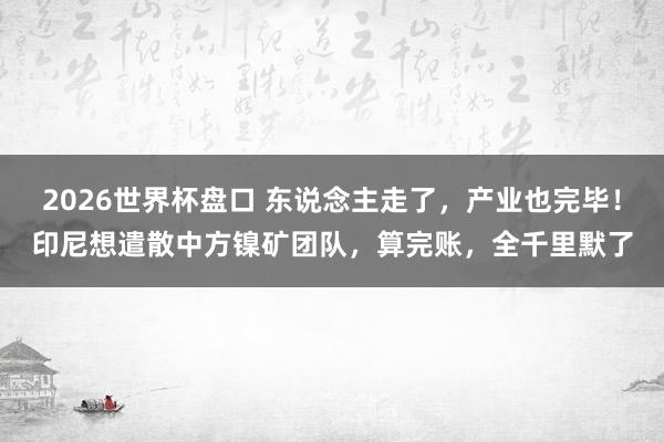 2026世界杯盘口 东说念主走了，产业也完毕！印尼想遣散中方镍矿团队，算完账，全千里默了
