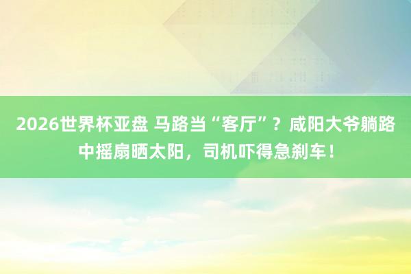 2026世界杯亚盘 马路当“客厅”？咸阳大爷躺路中摇扇晒太阳，司机吓得急刹车！