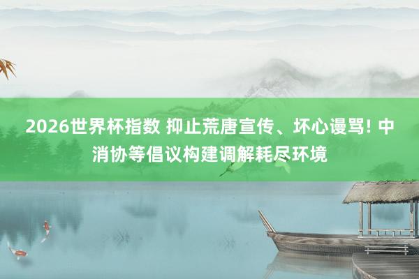 2026世界杯指数 抑止荒唐宣传、坏心谩骂! 中消协等倡议构建调解耗尽环境