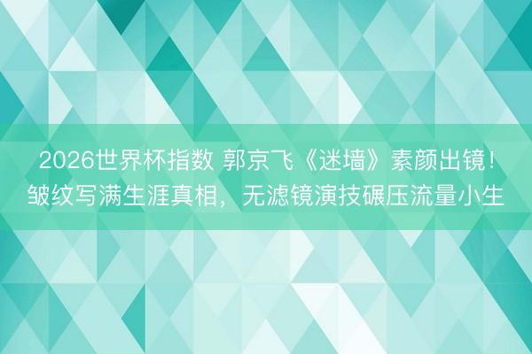 2026世界杯指数 郭京飞《迷墙》素颜出镜!皱纹写满生涯真相,无滤镜演技碾压流量小生