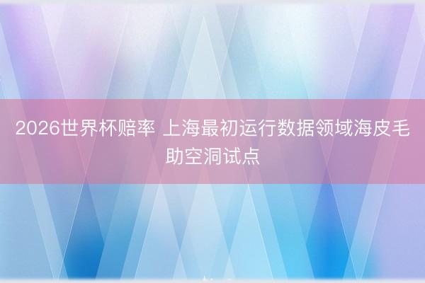 2026世界杯赔率 上海最初运行数据领域海皮毛助空洞试点