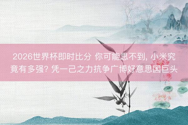 2026世界杯即时比分 你可能思不到， 小米究竟有多强? 凭一己之力抗争广博好意思国巨头