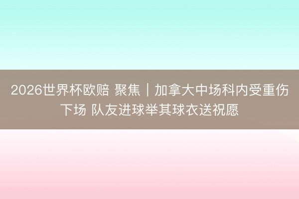 2026世界杯欧赔 聚焦|加拿大中场科内受重伤下场 队友进球举其球衣送祝愿